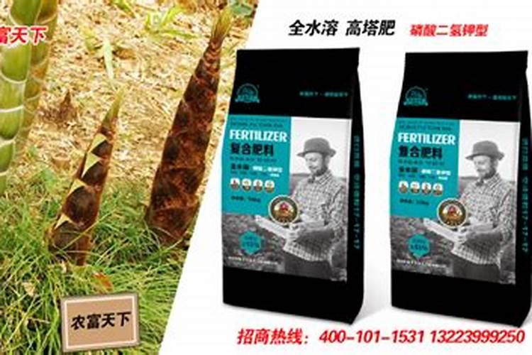 鲜水竹笋的做法大全集