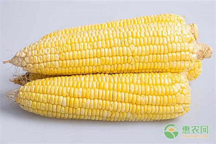 硅谷肥料怎么样？有机硅水溶肥总养分151515 总≥45%价格怎么样？肥料怎 ...