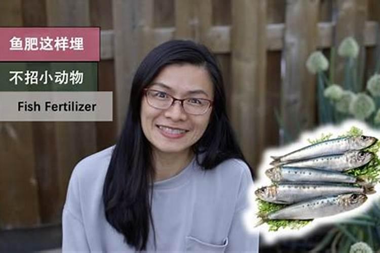 在家怎样自制磷肥 自己在家如何制作磷肥