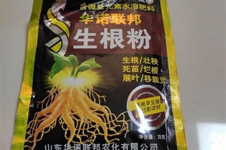 生根粉能浇花吗
