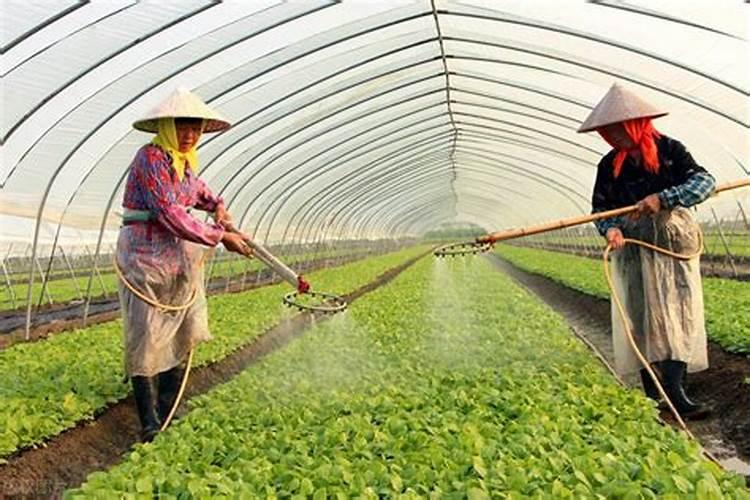 施肥的时候要浇水吗？