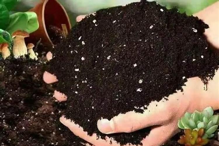 34K预算电动车选购指南:绿源Moda50Q能成为都市女性首选吗？