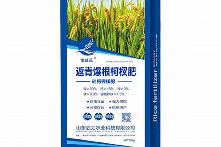 水稻亩产量一般能达到多少,水稻一亩地可以产多少斤