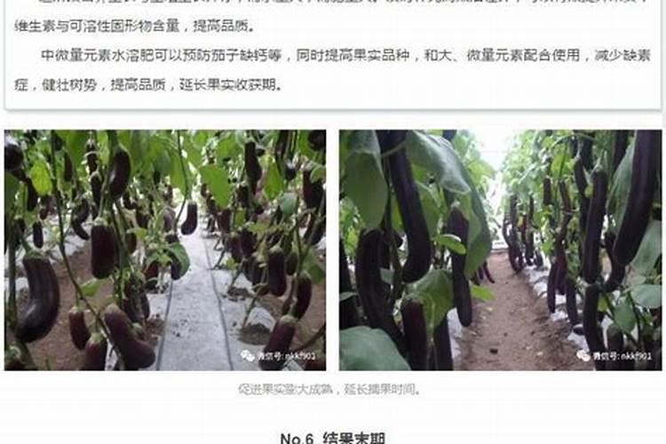晚上吃西瓜会长胖吗(西瓜的常识)