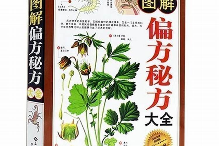 有补钾的中药吗
