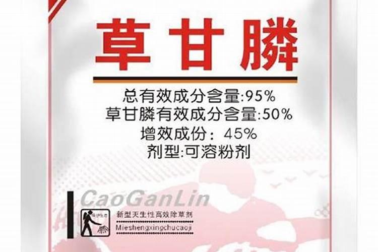 五爪金龙怎么养养植方法和病虫防治