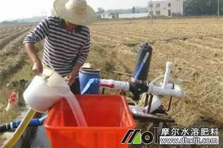 怎么鉴别进口水溶肥的真假