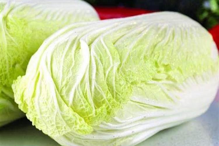 如何防治大白菜黑腐病