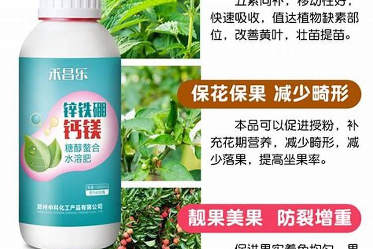 绣球控水多久浇一次水