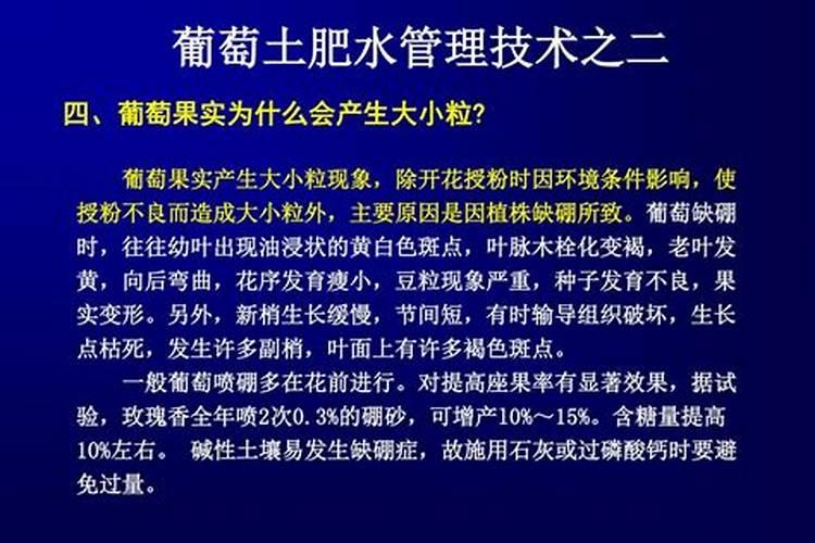 提取黄腐酸钾技术哪种工艺最好