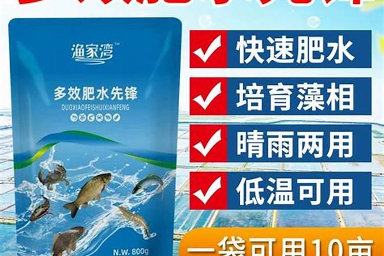盆栽朱顶红的养殖方法和注意事项