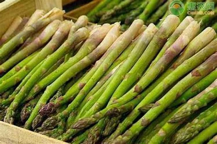 叶面肥可以灌根吗 叶面肥多长时间能吸收