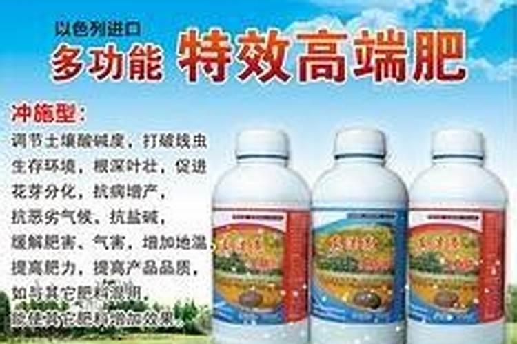 黄瓜靶斑病如何防治？