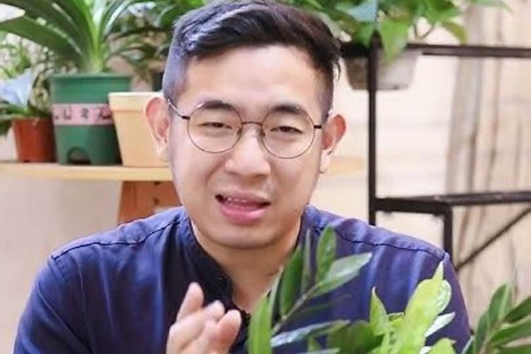 金钱树用什么肥料好
