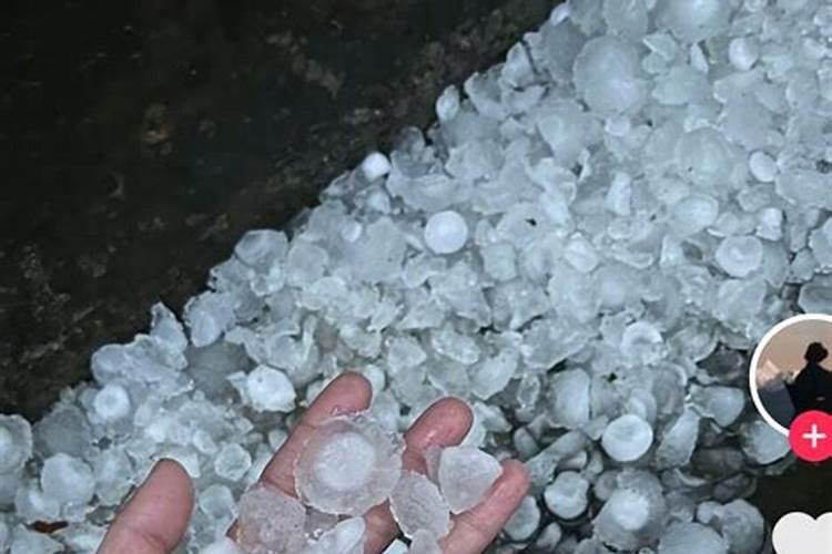 农作物是如何预防冰雹的