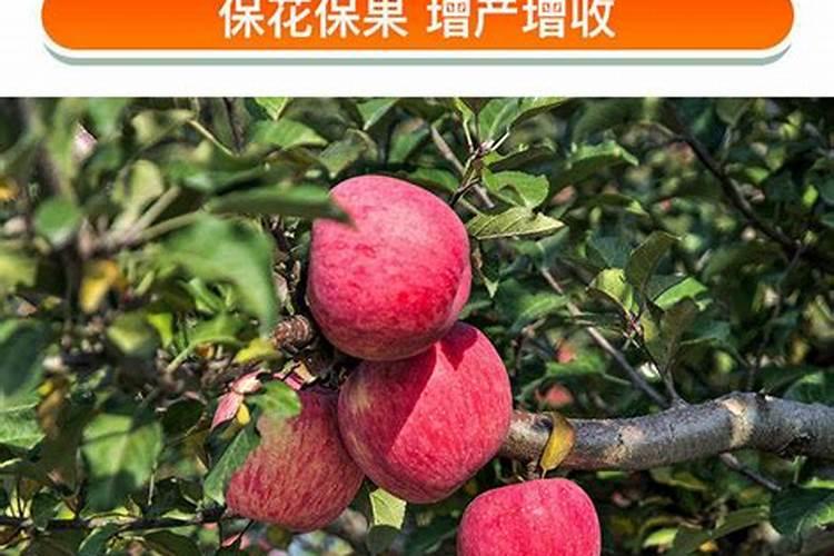 梨树花期可以打芸苔素和硼肥吗
