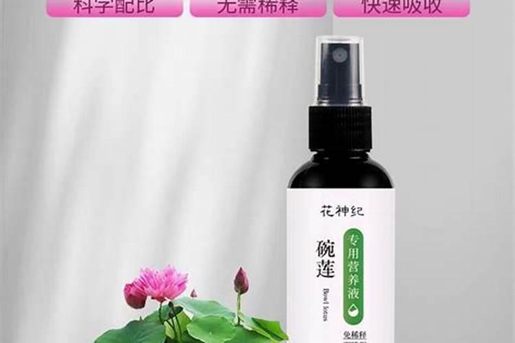 碗莲追肥用什么肥料好