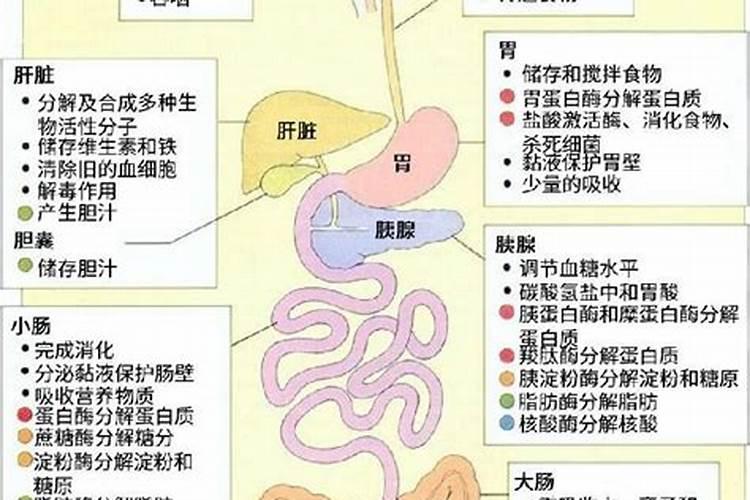 水溶肥在果树上几天能吸收