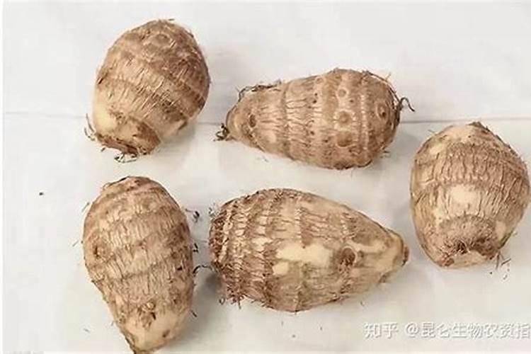 种芋头用什么肥料最好