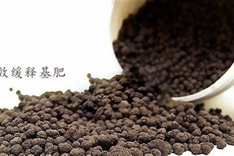 农民种菜常用哪些肥料,可以让种的菜长势好、产量高？
