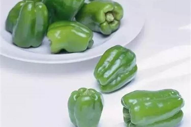 白玉豌豆要不要多晒太阳？