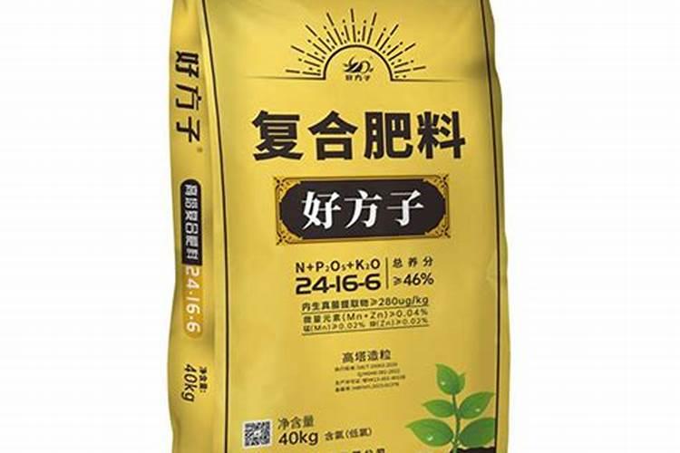 桅子花怎么养？