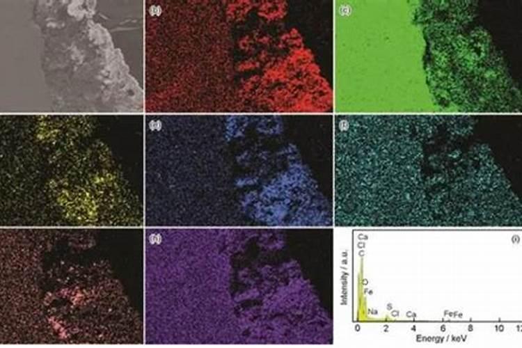 怎样识别水溶的真假？
