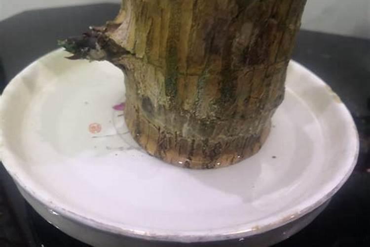 磷肥对植物的作用
