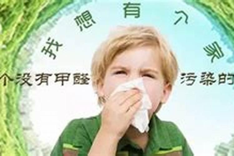 什么植物去除甲醛最有效