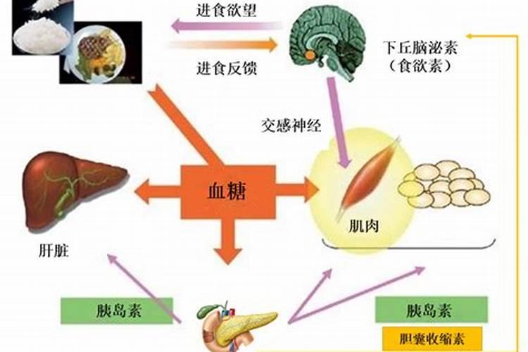 花生膨大粒粒饱真能实现花生饱满膨大的效果吗？