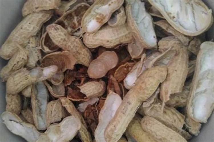 熟花生壳可以做肥料吗