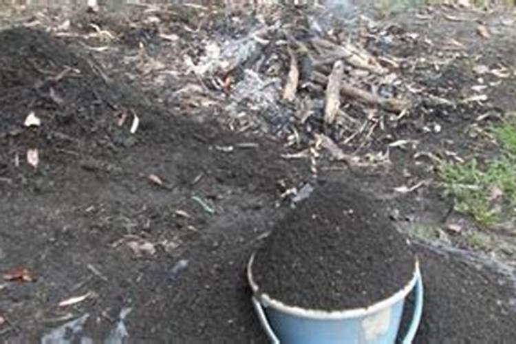 木头烧的木灰掺多少土能养花