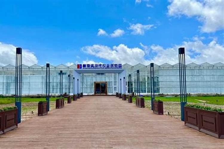 平衡水溶肥配方 新型水溶肥配方多