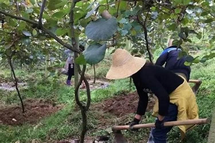 过量施用硫酸锌等肥对土壤有什么影响