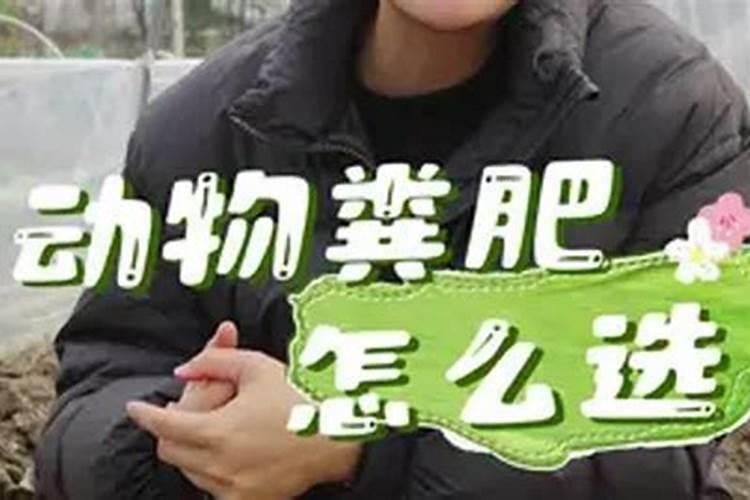 用于草腐菌栽培的粪肥有哪些？