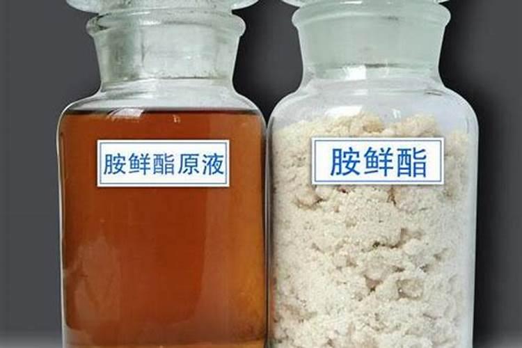 太子参可以泡茶喝吗 应该怎么泡