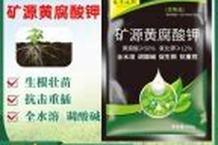 怎样种玉米
