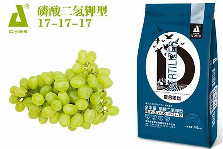 一颗葡萄树可以下两斤复合肥吗