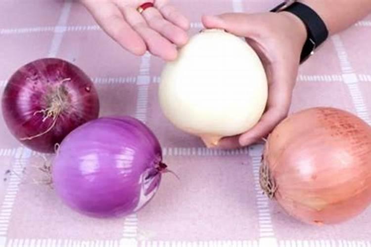 红鱼粉白鱼粉区别