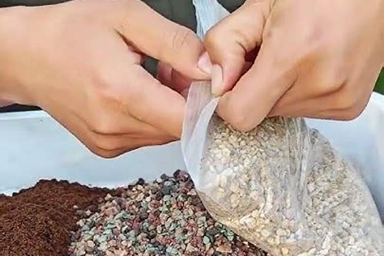 多肉植物配土可以用纯颗粒土栽培吗