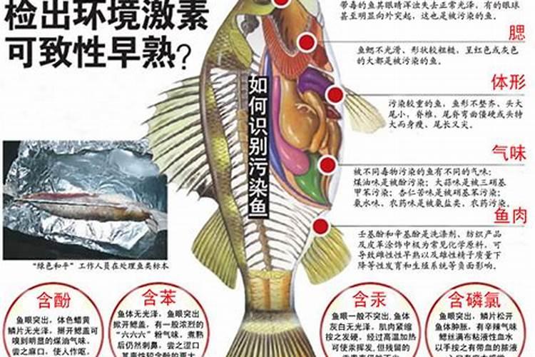 万益蓝鱼胶原蛋白三肽对皮肤有用吗
