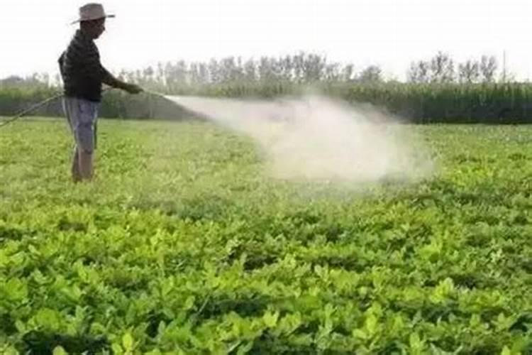 描写水果的资料,详细一点