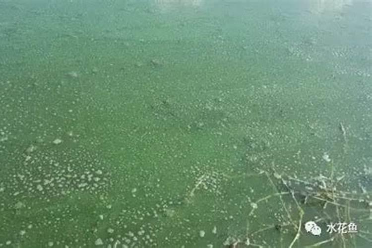 水质老化水质老化的原因