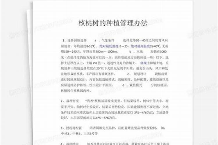 核桃树上什么肥料最好