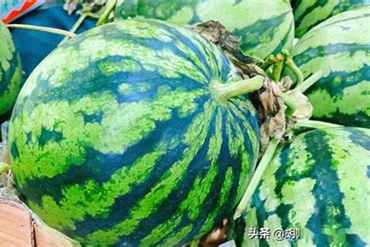 水溶肥坑太深,这些水溶肥别再买了···