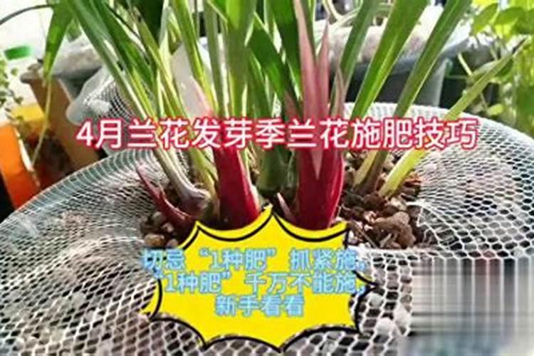 星露谷物语史莱姆屋怎么自动加水