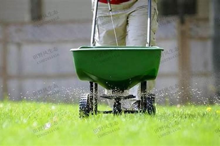 碳安化肥有什么用