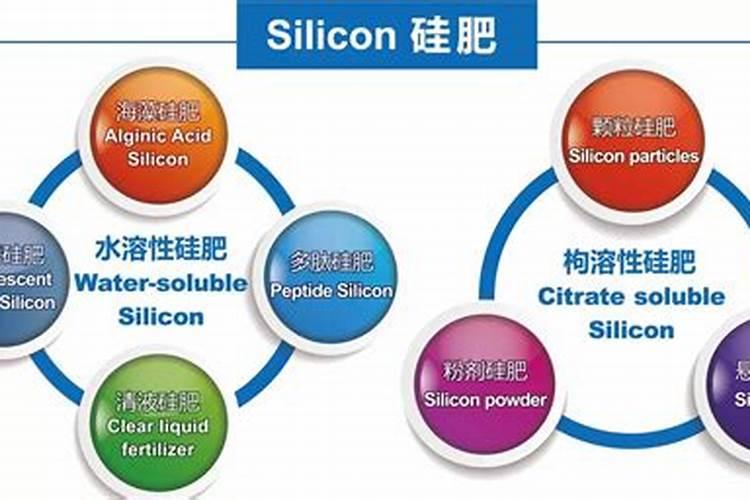 硅肥有哪些