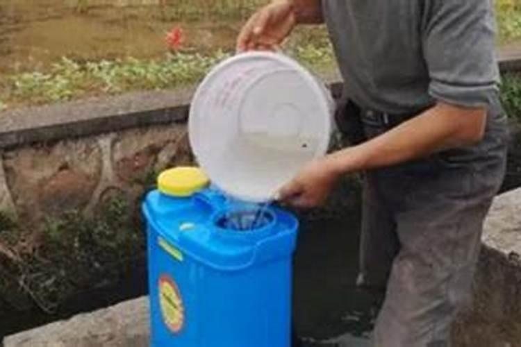 莲藕和红薯,哪个营养价值更高？