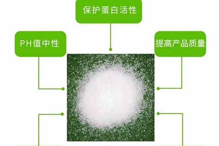 蚌埠有没有花卉批发市场？就像哪些开花店的,都是从哪里买花？